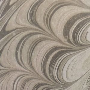 Meet your Posher, Kitty